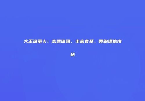 大王流量卡：高速体验、丰富套餐，领跑通信市场