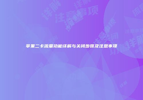 苹果二卡流量功能详解与关闭步骤及注意事项