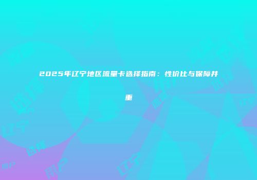 2025年辽宁地区流量卡选择指南：性价比与保障并重
