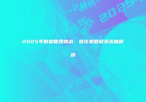 2025年数据管理挑战：优化策略避免流量超额