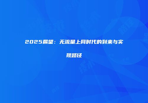 2025展望：无流量上网时代的到来与实现路径