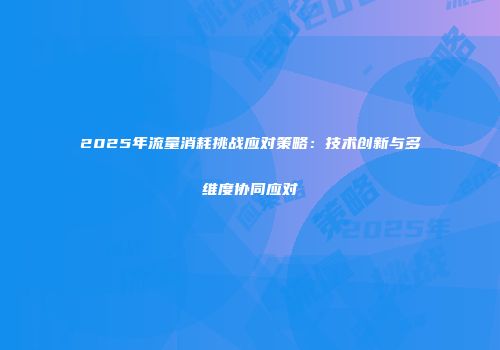 2025年流量消耗挑战应对策略：技术创新与多维度协同应对