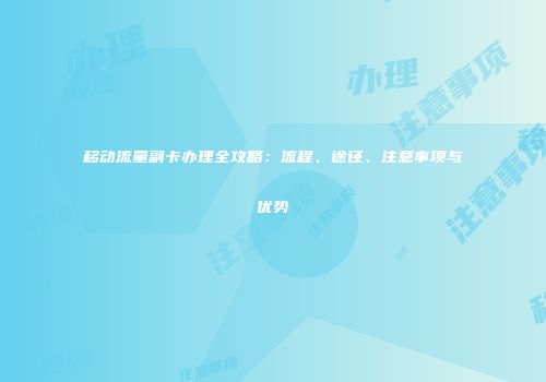 移动流量副卡办理全攻略：流程、途径、注意事项与优势