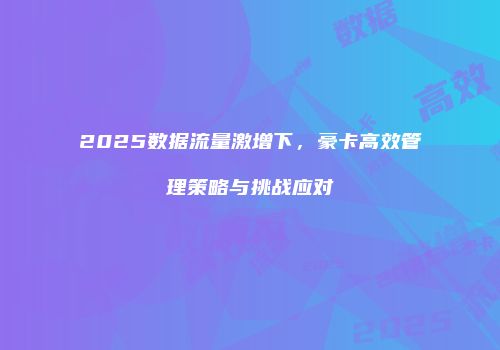2025数据流量激增下，豪卡高效管理策略与挑战应对