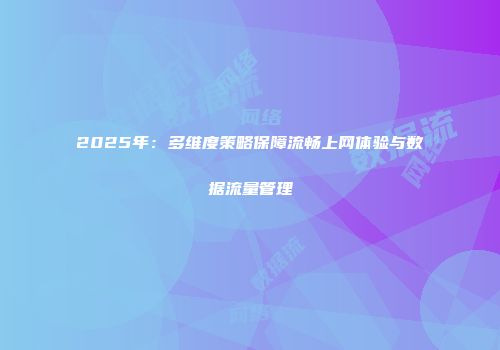 2025年：多维度策略保障流畅上网体验与数据流量管理