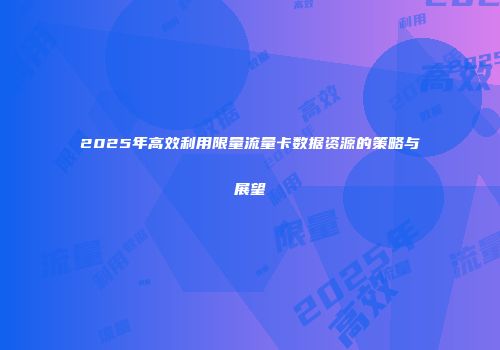 2025年高效利用限量流量卡数据资源的策略与展望