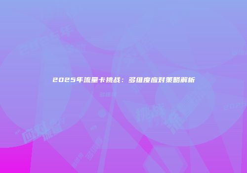 2025年流量卡挑战：多维度应对策略解析