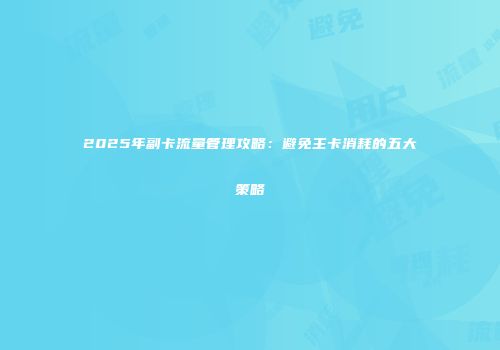 2025年副卡流量管理攻略：避免主卡消耗的五大策略