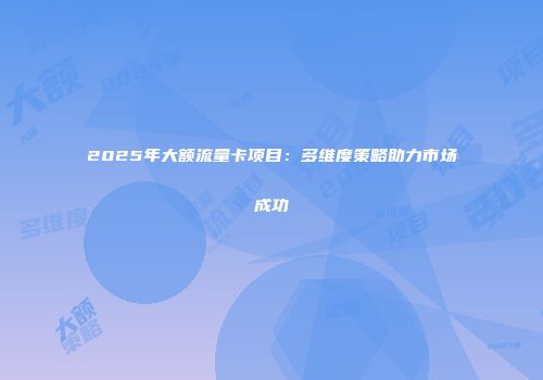 2025年大额流量卡项目：多维度策略助力市场成功