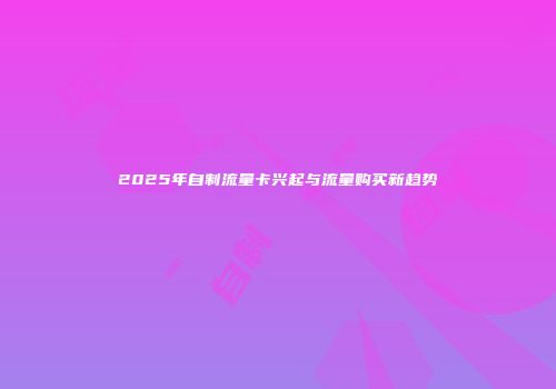 2025年自制流量卡兴起与流量购买新趋势