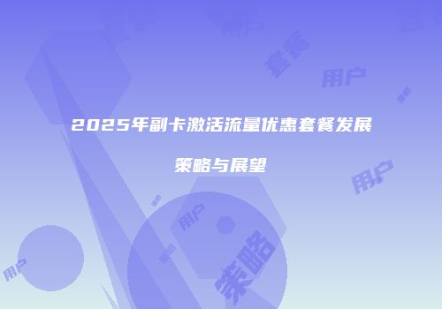 2025年副卡激活流量优惠套餐发展策略与展望