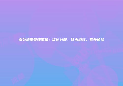 高效流量管理策略：优化分配、减少消耗、提升体验