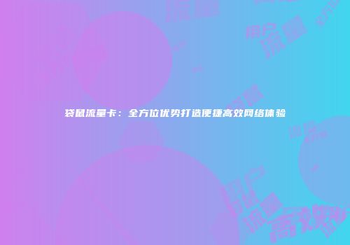 袋鼠流量卡：全方位优势打造便捷高效网络体验