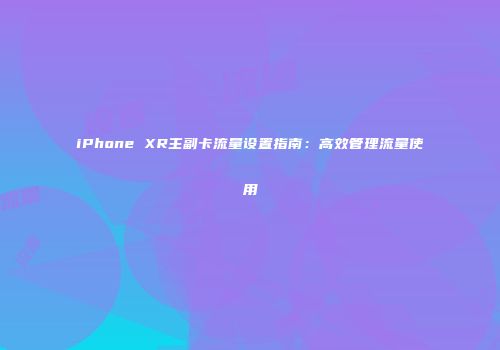 iPhone XR主副卡流量设置指南：高效管理流量使用