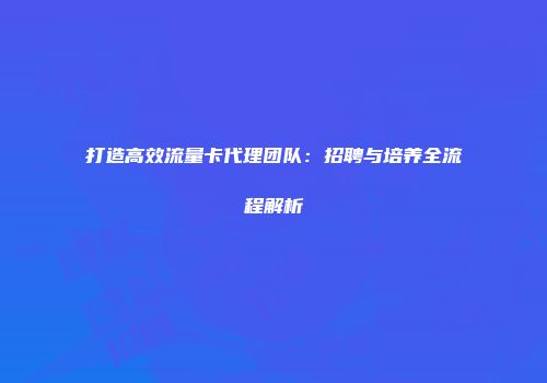 打造高效流量卡代理团队：招聘与培养全流程解析