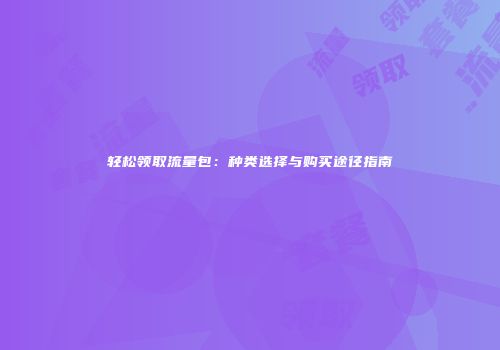 轻松领取流量包：种类选择与购买途径指南