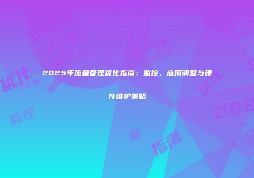 2025年流量管理优化指南：监控、应用调整与硬件维护策略