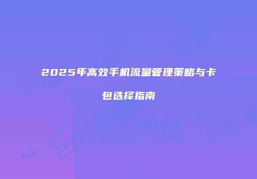 2025年高效手机流量管理策略与卡包选择指南