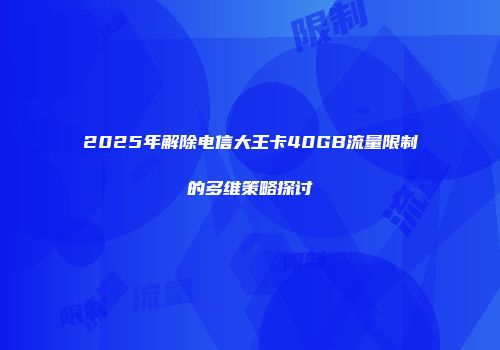 2025年解除电信大王卡40GB流量限制的多维策略探讨