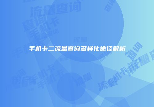 手机卡二流量查询多样化途径解析