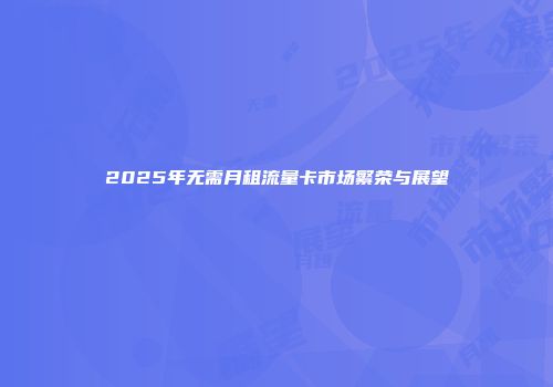 2025年无需月租流量卡市场繁荣与展望