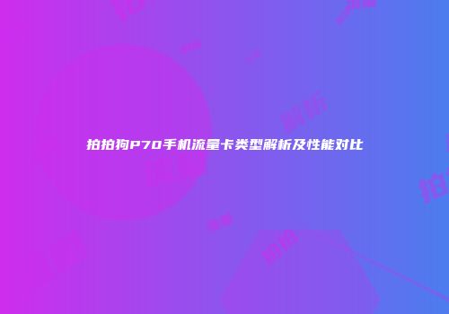 拍拍狗P70手机流量卡类型解析及性能对比