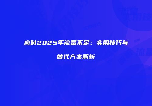 应对2025年流量不足：实用技巧与替代方案解析