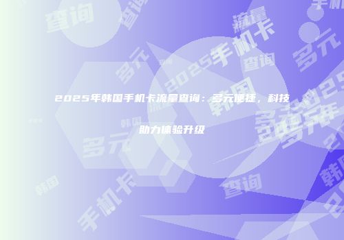 2025年韩国手机卡流量查询：多元便捷，科技助力体验升级