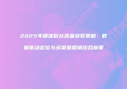 2025年精准粉丝流量获取策略：数据驱动定位与多渠道营销综合施策