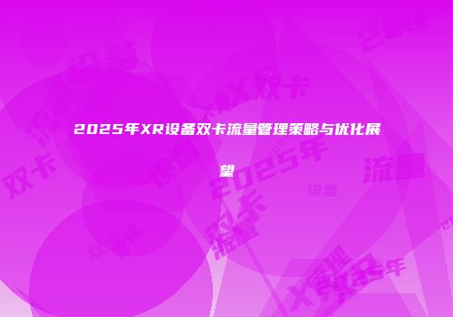 2025年XR设备双卡流量管理策略与优化展望