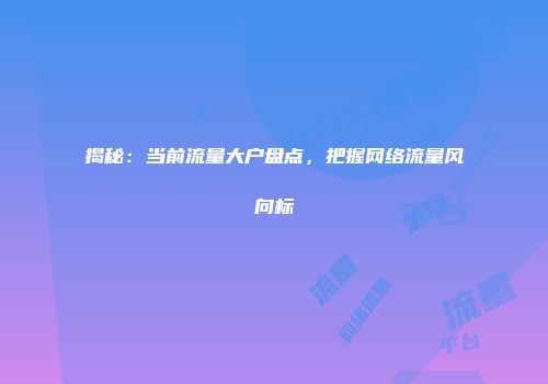 揭秘：当前流量大户盘点，把握网络流量风向标