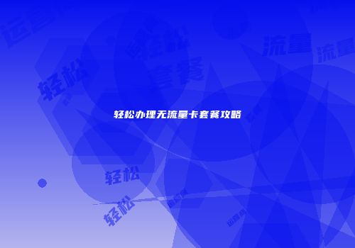 轻松办理无流量卡套餐攻略