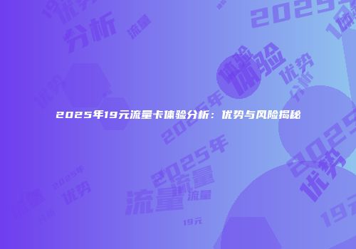 2025年19元流量卡体验分析：优势与风险揭秘