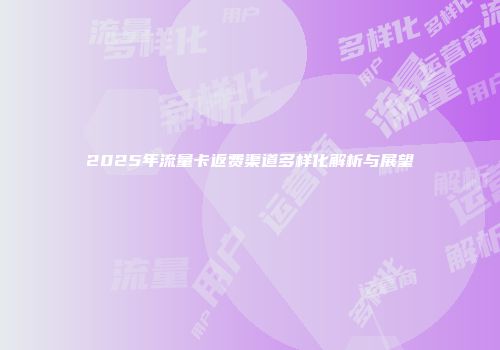 2025年流量卡返费渠道多样化解析与展望