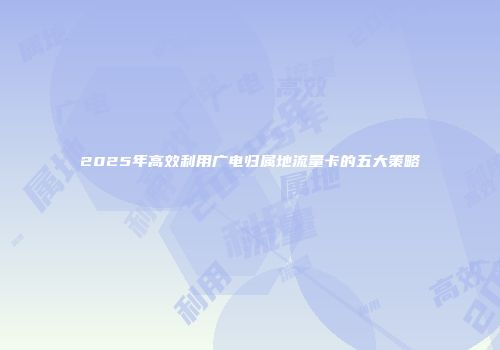 2025年高效利用广电归属地流量卡的五大策略