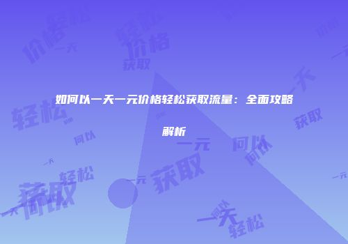 如何以一天一元价格轻松获取流量：全面攻略解析