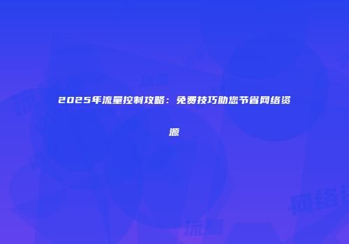 2025年流量控制攻略：免费技巧助您节省网络资源