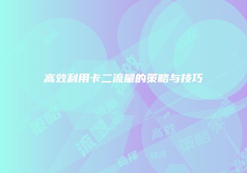 高效利用卡二流量的策略与技巧