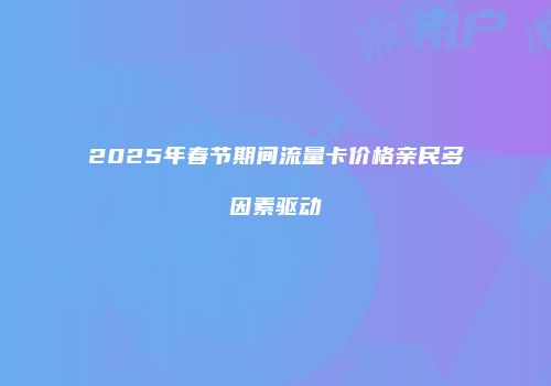 2025年春节期间流量卡价格亲民多因素驱动
