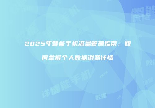 2025年智能手机流量管理指南：如何掌握个人数据消费详情