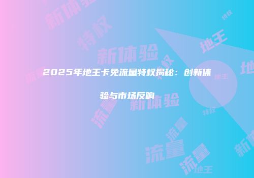 2025年地王卡免流量特权揭秘：创新体验与市场反响