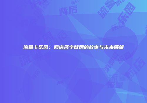 流量卡乐园：网店名字背后的故事与未来展望