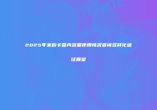2025年米粉卡国内流量使用情况查询多样化途径展望