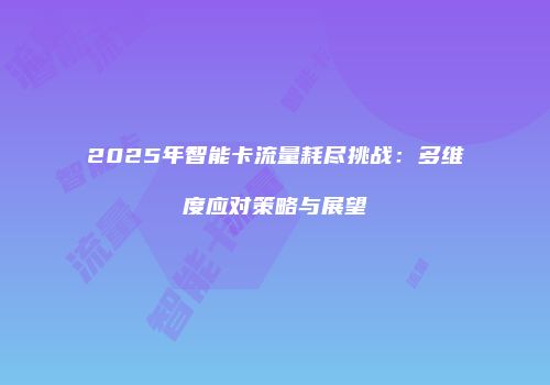 2025年智能卡流量耗尽挑战：多维度应对策略与展望