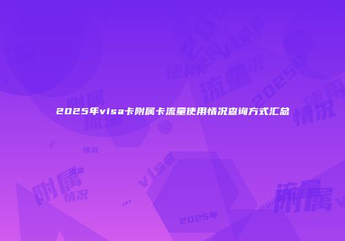 2025年visa卡附属卡流量使用情况查询方式汇总
