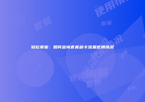 轻松掌握：如何查询套餐副卡流量使用情况