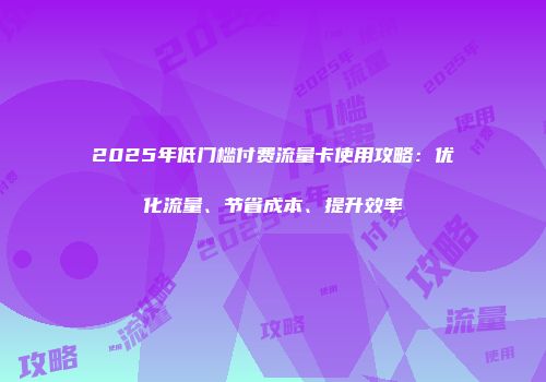 2025年低门槛付费流量卡使用攻略：优化流量、节省成本、提升效率