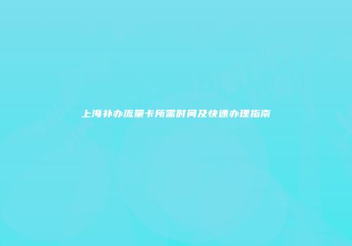 上海补办流量卡所需时间及快速办理指南