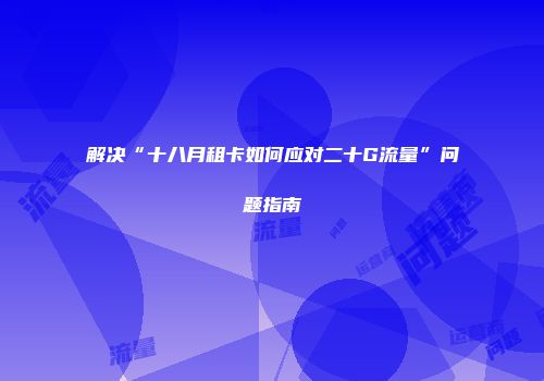 解决“十八月租卡如何应对二十G流量”问题指南