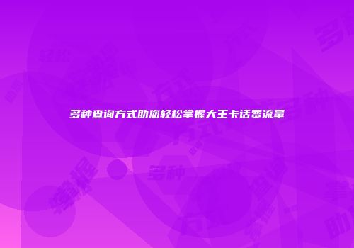多种查询方式助您轻松掌握大王卡话费流量